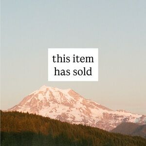 Patagonia NWT Synchilla Snap-T swallowtail geo fleece pullover